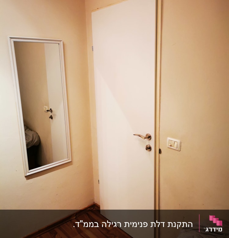 דלת לבנה עם ידית מתכת על קיר בהיר